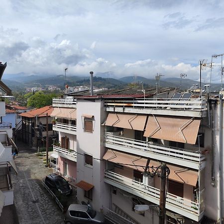 Appartamento Blue Dreams Veria  Esterno foto